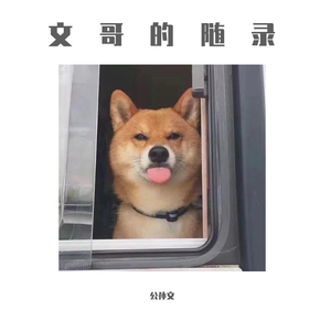 国产麻豆精品观看
