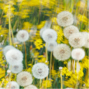 国产麻豆精品观看
