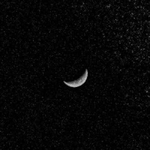 国产麻豆精品观看
